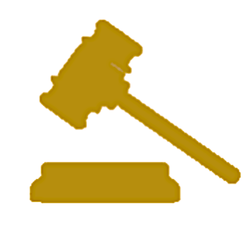 Litigation Law